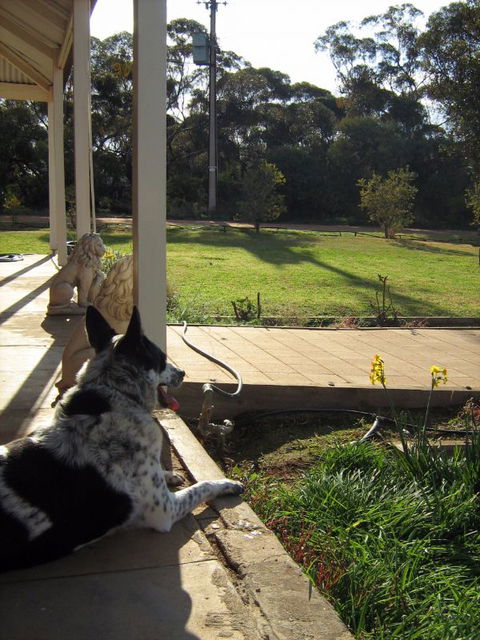 Great Grandpa Henry Retreat - Holiday Adelaide 4