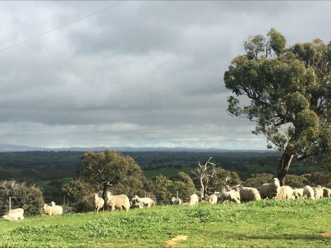 Heathcote Views Bed & Breakfast - Holiday Adelaide 5