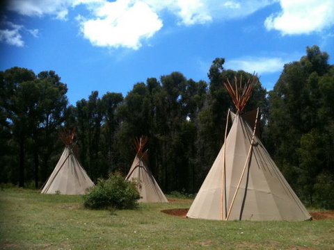Kinglake Forest Adventures Camp - Holiday Adelaide 0