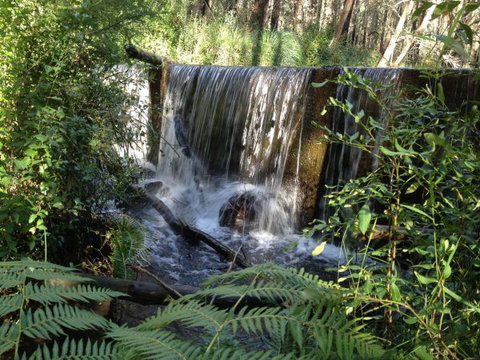 Kinglake Forest Adventures Camp - Holiday Adelaide 1