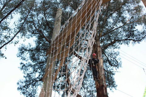 Kinglake Forest Adventures Camp - Holiday Adelaide 4