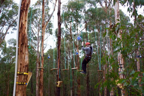 Kinglake Forest Adventures Camp - Holiday Adelaide 5