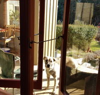 Mara Ponds Branxholm - Holiday Adelaide