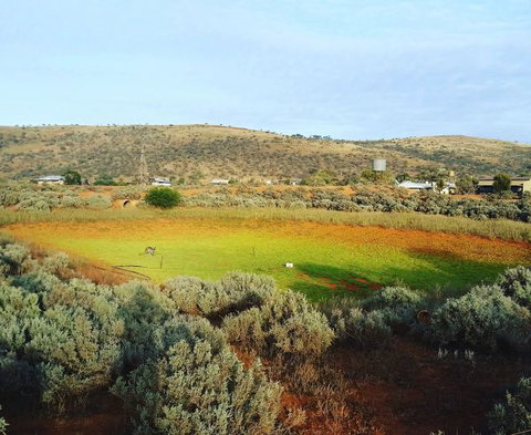 Mount Ive - Holiday Adelaide 0