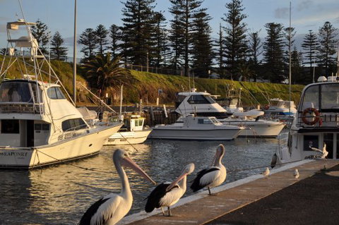 Nautica Accommodation Gerringong - Holiday Adelaide 2