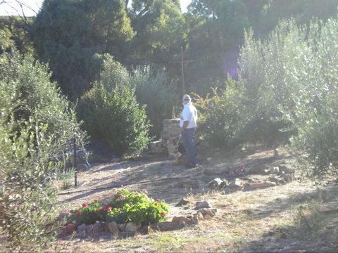 Olive Grove Retreat - Holiday Adelaide 5