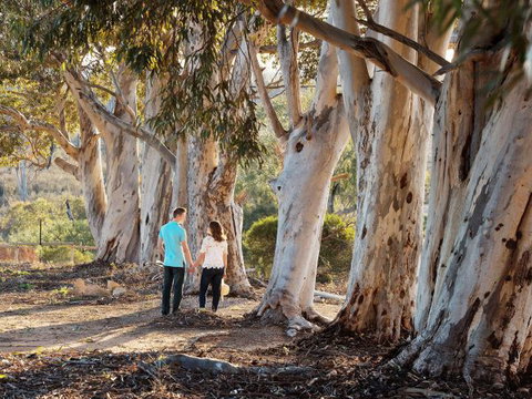 Rilli Retreat - Holiday Adelaide 3