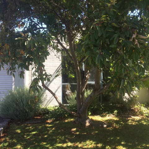 Sea-Ena - Holiday Adelaide 2