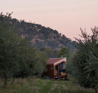 Shacky in the Olive Grove - Holiday Adelaide