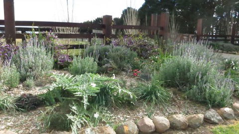The Loch Barn - Holiday Adelaide 4