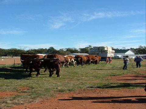 Trundle Showground - Holiday Adelaide 1