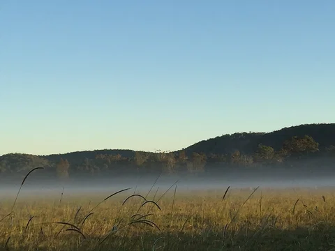 Telegraph Retreat Cottages - Holiday Adelaide 1