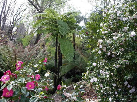 Adelaide Hills B&B Accommodation - Holiday Adelaide 3