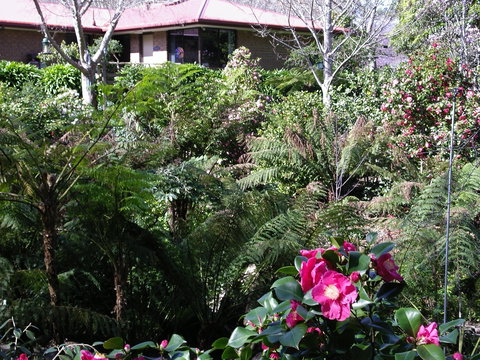 Adelaide Hills B&B Accommodation - Holiday Adelaide 6