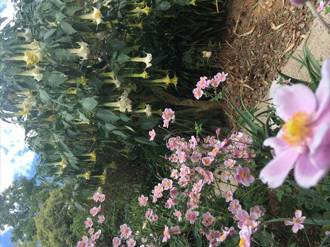 Adelaide Hills B&B Accommodation - Holiday Adelaide 7