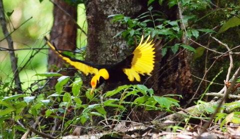 Bellthorpe Stays - Nature's Retreat - Holiday Adelaide 4