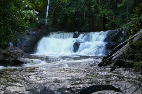 Bellthorpe Stays - Nature's Retreat - Holiday Adelaide 5