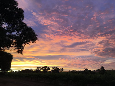 Container65 - Holiday Adelaide 5