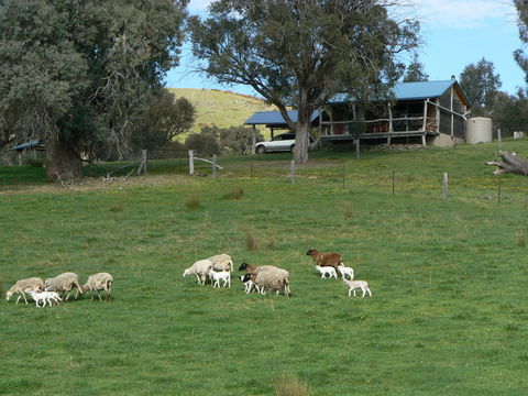 Gaddleen Grove Cottages - Holiday Adelaide 0