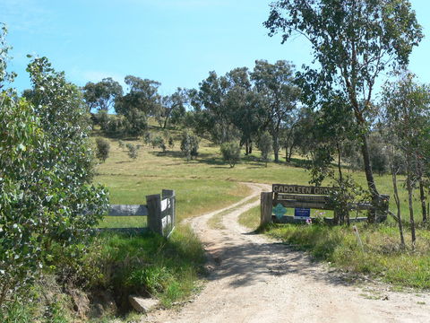 Gaddleen Grove Cottages - Holiday Adelaide 3