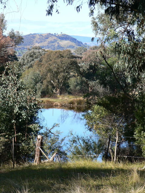 Gaddleen Grove Cottages - Holiday Adelaide 6
