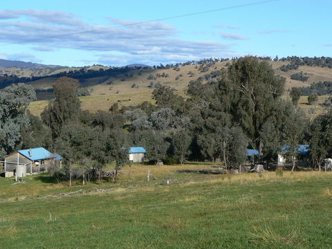 Gaddleen Grove Cottages - Holiday Adelaide 7
