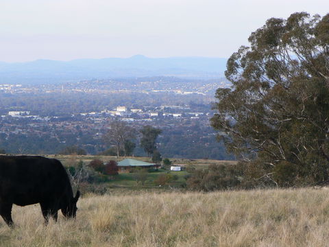 Gaddleen Grove Cottages - Holiday Adelaide 8