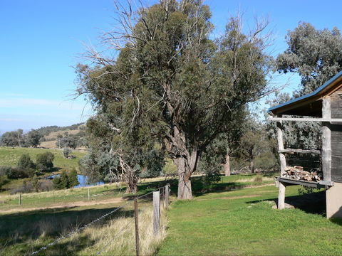 Gaddleen Grove Cottages - Holiday Adelaide 9