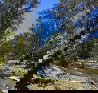 Highfield Farm and Woodland Bush Campsites - Holiday Adelaide