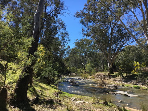 Highfield Farm And Woodland Bush Campsites - Holiday Adelaide 0