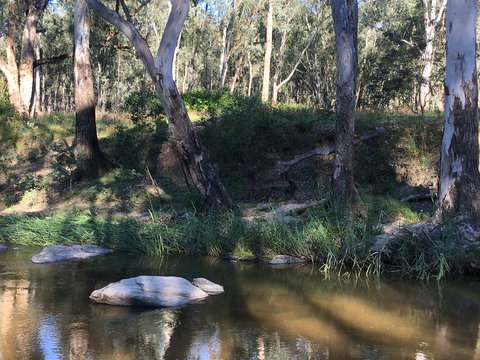 Highfield Farm And Woodland Bush Campsites - Holiday Adelaide 1