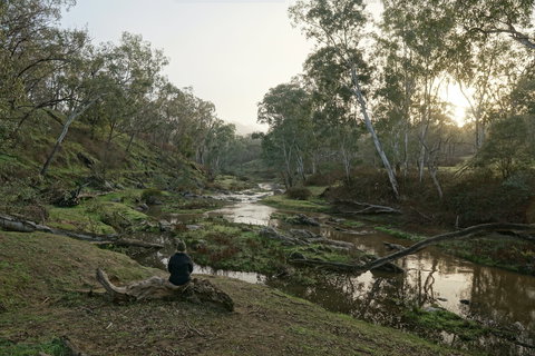 Highfield Farm And Woodland Bush Campsites - Holiday Adelaide 2