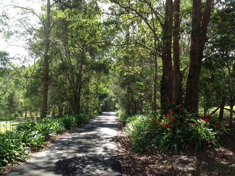 Maleny Country Cottages - Holiday Adelaide 8