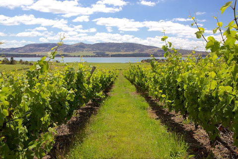 Riversdale Estate Cottages - Holiday Adelaide 1