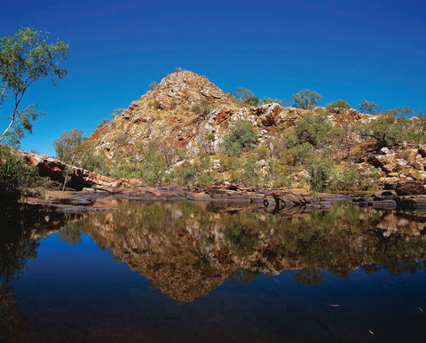 Silent Grove Camp At Wunaamin Miliwundi Ranges Conservation Park - Holiday Adelaide 0