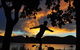 Waterside Accommodation - Derwent Hideaway - thumb 1