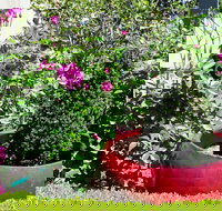 Armidale Pines Motel - Holiday Adelaide