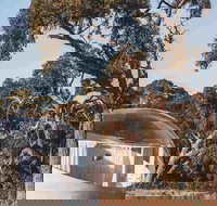 Coonawarra Bubble Tents - Holiday Adelaide