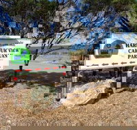 Cowell Harbor View Caravan Park - Holiday Adelaide