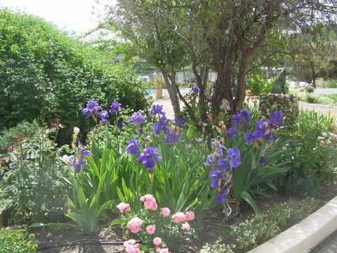 Garden Motor Inn (Golden Chain) - Holiday Adelaide 7