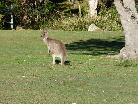 Little Bay Cottage - Holiday Adelaide 2