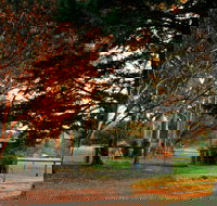 Misty Valley Country Cottages - Holiday Adelaide