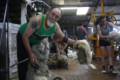 Rabbiters Hut - Holiday Adelaide 5