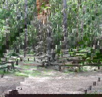 Six Mile Creek campground - Holiday Adelaide