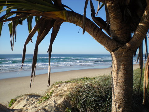 Horizons At Peregian - Holiday Adelaide 0