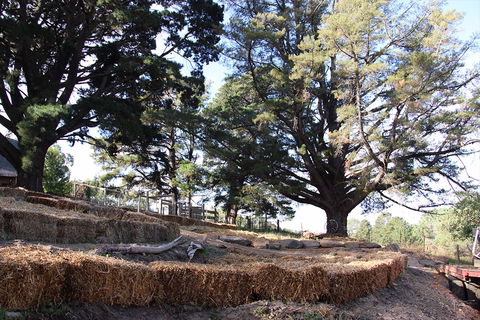Longwood Retreat - Holiday Adelaide 0
