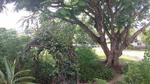 Rosehill Apartments - Holiday Adelaide 2