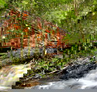 The Mouses House - Rainforest Retreat - Holiday Adelaide