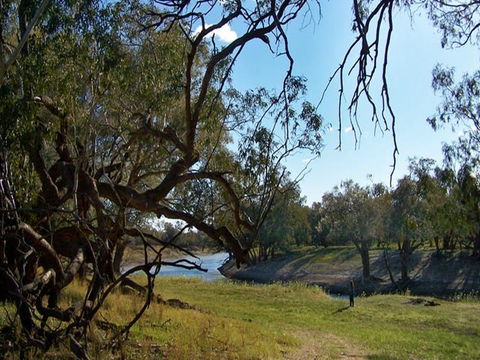 Yanda Campground - Holiday Adelaide 0