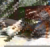 Yelverton Brook Eco Spa Retreat and Conservation Sanctuary - Holiday Adelaide